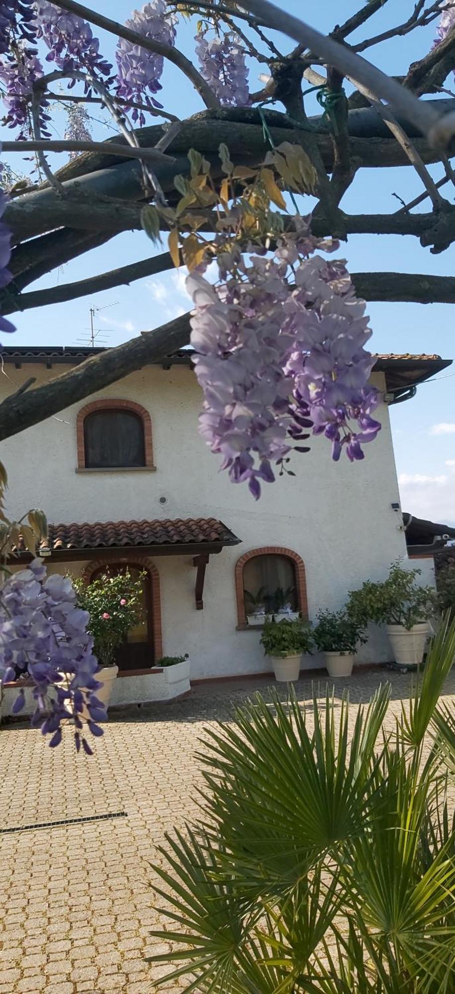 Villa Fioccomare Camaiore Buitenkant foto