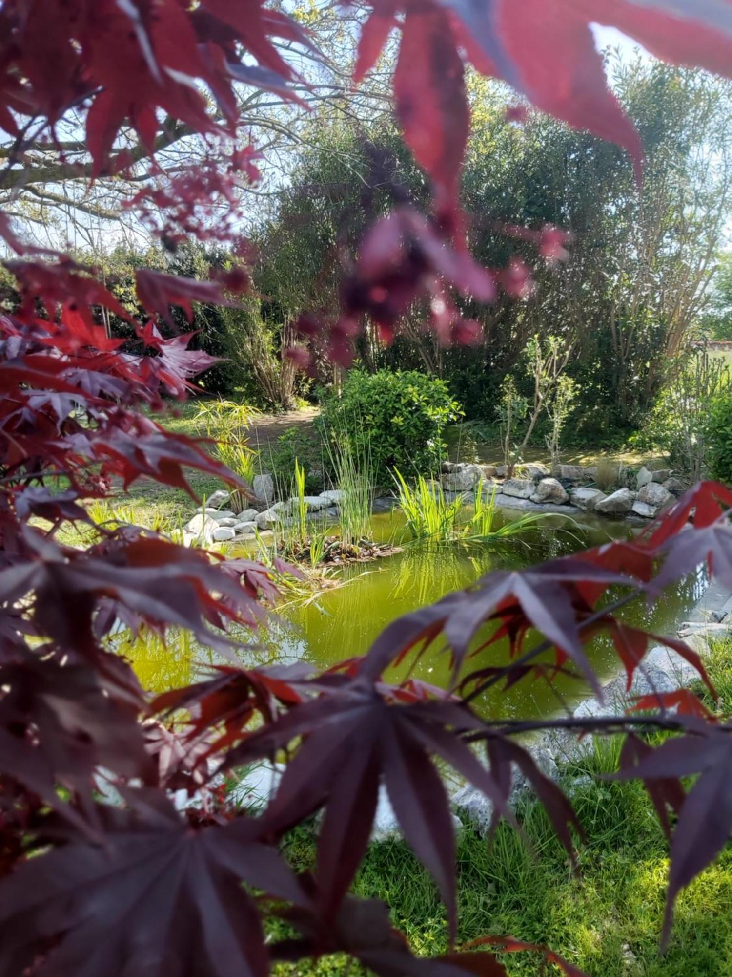Villa Fioccomare Camaiore Buitenkant foto