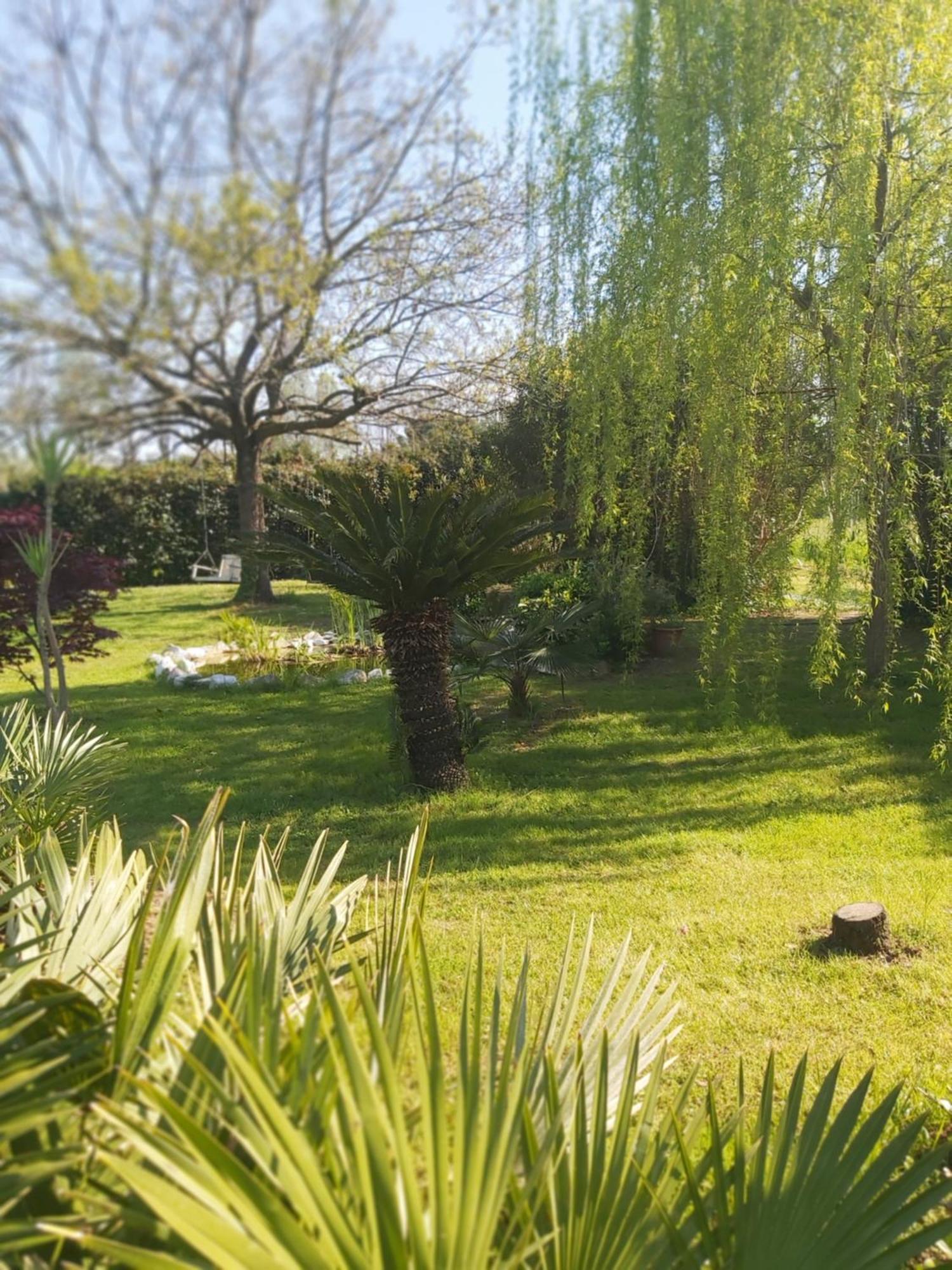 Villa Fioccomare Camaiore Buitenkant foto